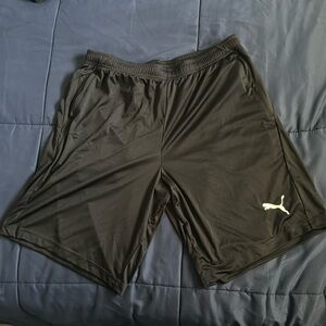 Puma workout shorts